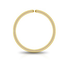 LUCKYJEWUS Small Gold Nose Ring Hoop for Women, 14k Gold Filled or 925 Sterling Silver - Thin Dainty Nose Piercing Hoop 10mm 20G