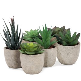 Juego de Plantas Artificiales  6 Plantas suculentas realistas en macetas firmemente pegadas  Fácil de Limpiar y atemporales  Ideal para salón,...     