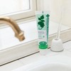 Dentis Tubular Type Toothpaste Powder, Mint Scent, Kiss Immediately Wake