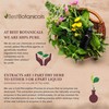 Best Botanicals Pumpkin Seed Powder 16 oz.