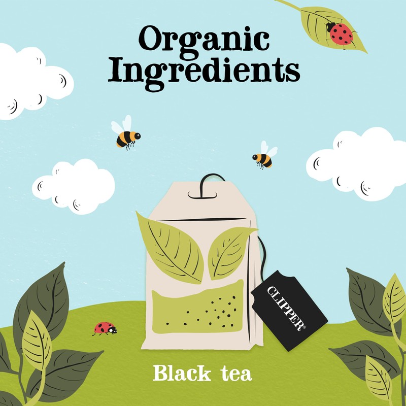 Clipper Fairtrade Organic Everyday 40 Unbleached, Plastic-Free Tea Bags