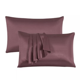 Black Horse Silk Satin Pillow Cases 2 Pack BLUSH-PINK, Silky Pillowcases Soft and Cozy Standard Pillow Covers Dyed in Trendy Colors-Size (50 x 75 cm)