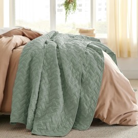 Bedsure Queen Quilt Bedding Set - Lightweight Spring Quilt Full/Queen - Sage Green Bedspread Queen Size - Bedding Coverlet for All Seasons (Includes 1 Quilt, 2 Pillow Shams)