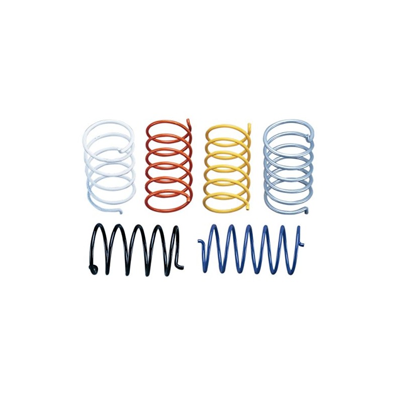 EPI PEBS26 Secondary Driven Clutch Spring - Orange