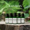 Ätherisches Oreganoöl 5 ml AMYRON | Origanum Vulgare | 100%