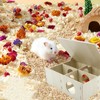 Amonk Multi-Chamber Hamster House Wooden Secret Peep Shed and Explore