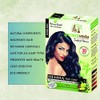Ancient Veda Henna Hair Color Black (60 g / 2.11