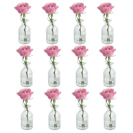 HANIHUA Set of 12 Glass Bud Vases in Bulk, Small Vase for Flowers, Clear Vases Set for Rustic Wedding Decorations, Home Table Flower Decor, Shelf Decor Mini Vases 2.85"X 5.4"