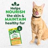 Greenies Feline Smartbites, Cat Treats Healthy Recipe, Indoor Cat Treats,