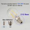 OPALRAY DC 12V 24V Low Voltage LED Mini Globe Bulb,