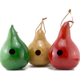 Gourd Birdhouses Painted Gourd - 3 Gourd Combo