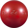 GoFit ProBall Stability Ball for Yoga, Fitness, Balance, Exercise Ball,