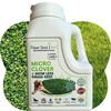 Flawn Seed Kits Micro Clover Plus Mow Less Grass Seed