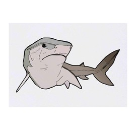 'Swimming Shark' Temporary Tattoo - Water Resistant, Skin-Safe, Non-Toxic Transfer (TO00028268)