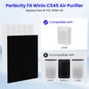 Future Way 2-Pack C545 Replacement Filter S Kit Compatible with