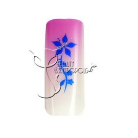 Pink/Blue Floral Pre-designed Acrylic/UV Gel Artificial/False French Nail Tips (70 pcs.)