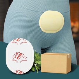 Lady Friends Herb Patch 40g 240 Attachment Hot Pack Mini Passe Type Hot Pat Small Lady Friends Herb Patch 40g 240