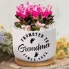DecStic Promoted to Grandma Planter Ceramic Lettering Saying Round Flower
