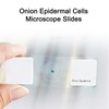 25 Slides with Samples, Prepared Slides, Prepared Microscope Sample Slides,