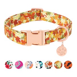 HSIGIO Soft Cotton Dog Collar, Adjustable Dog Collar with Metal Buckle, Yellow Maple Leaf with Pendant Girl Boy Dog Collars Gift for Small Medium Large Dogs (Small)