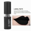 Lápiz Labial Mate, Paleta de Lápiz Labial, Lápiz Labial Mate