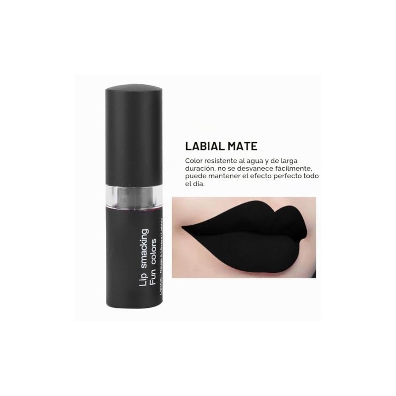 Lápiz Labial Mate, Paleta de Lápiz Labial, Lápiz Labial Mate