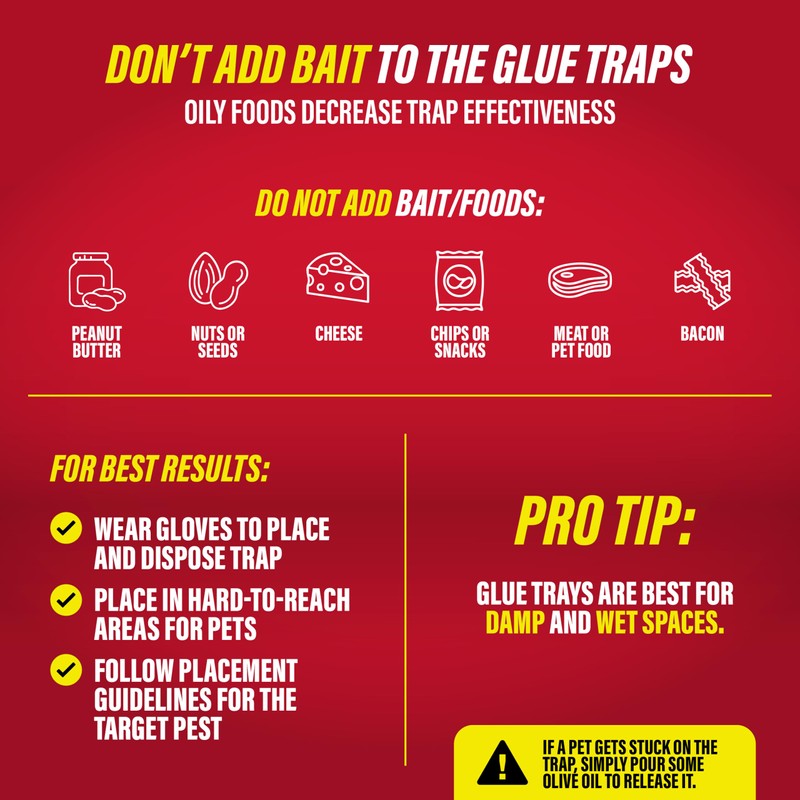 Catchmaster-16 Mouse & Insect Glue Traps, Heavy-Duty Pesticide-Free Sticky Mouse