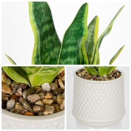 DILATATA Artificial Snake Plant 17 Inch Faux Snake Plant in Ceramic Pot with Sandstone Gravel, Fake Green Indoor House Plant for Modern Home Decor, Window, Shelf - Mother in Law Tongue Plant - Yellow