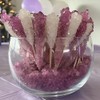 Classic Rock Candy Sticks, Sugar Rock Crystal Lollipops, Individually Wrapped