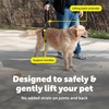 PetSafe CareLift Rear Support Harness - Lifting Aid with Handle