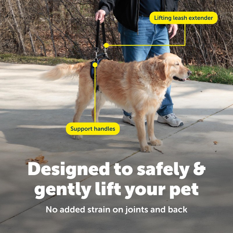 PetSafe CareLift Rear Support Harness - Lifting Aid with Handle