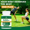 VITACRLLYNMN 700MG Sod Superoxide Dismutase Supplement - High Potency Antioxidant
