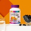 Holidays Large Size Lutein Max 210 Capsules 1 Bottle (7-Month