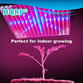 HQRP Blue/Red/Orange/White LED Grow Light Panel for Budding, Flowering and Vegetative Glowth 14W 77 red + 47 Blue + 77 Orange + 24 White LED 12 inch + Hanging Kit