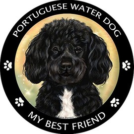 My Best Friend Portuguese Water Dog Circle Magnet by Pet Gifts USA is 5.5" x 5.5" Made for Vehicles and Refrigerators