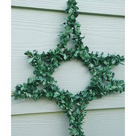Star of David Wreath in Boxwood Leaves For Hanukkah, Christmas Decorating