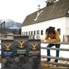 Yellowstone Ranch House Dark Roast Coffee,100% Arabica Ground Coffee, 12