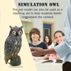 Solar Powered Owl Hunting Decoy Bird Scarer Deterrent Pest Control
