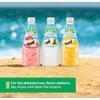 Kuii Coconut Milk Drink – Original Coconut Flavor, 12 Count