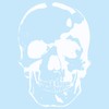 Skull Sticker - Finest Folia Sticker Car Boat Motorcycle Caravan