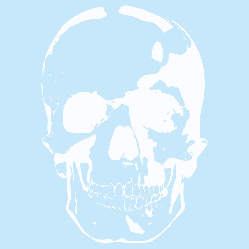 Skull Sticker - Finest Folia Sticker Car Boat Motorcycle Caravan