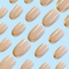 24Pcs Almond French Tip False Nails - Gold Edge Short