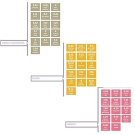 Revlon Young Color Excel 70 ml, color 5