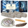 Nutgun Sage Smudge Kit - 3 White Sage Sticks, Palo