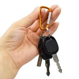 10 Pcs Large Carabiner D Ring Clip Hook Durable Keychain Camping Accessories for Outdoor, Fishing, Hiking, Traveling