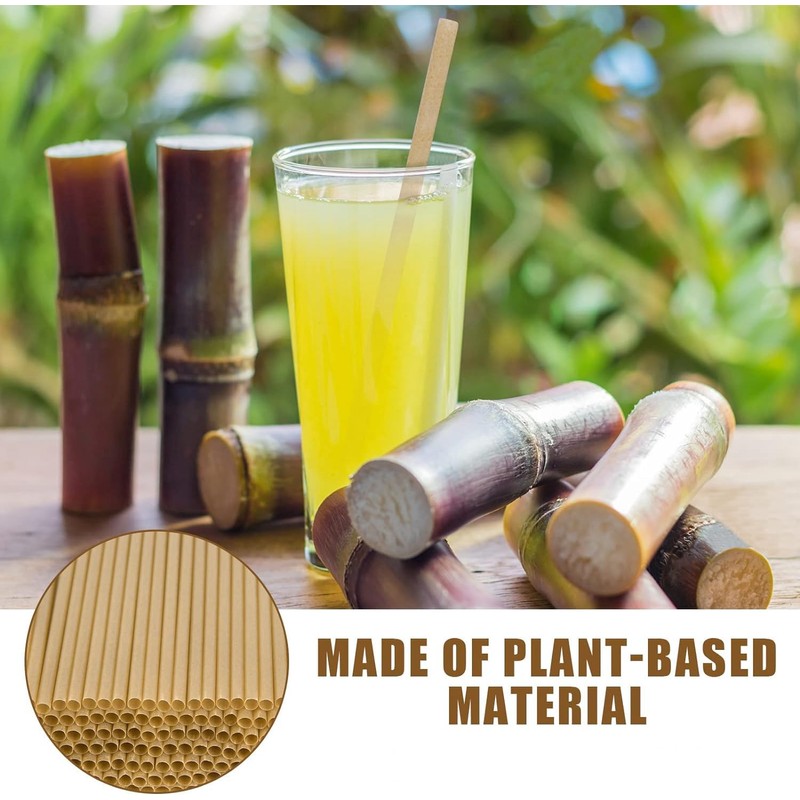 HANSGO 60PCS Sugarcane Straws, 7.8 Inch Drinking Straws Bulk Sturdy