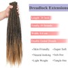 Leeven 24 Inch Grey Double Ended Dreadlock Extension 10 Strands