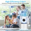 Tailulu 2 Pack D10 Replacement Filter, Air Purifier Filter for