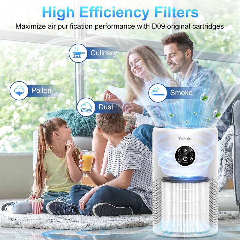 Tailulu 2 Pack D10 Replacement Filter, Air Purifier Filter for