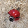 Faithfull FAIRB41 Router Bit TC Rounding Over 1/4in 15.8mm x